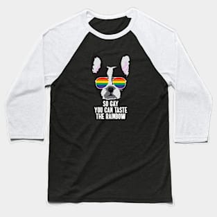 SO GAY YOU CAN TASTE THE RAINBOW - Boston Terrier Dog Gay Pride Rainbow Flag Baseball T-Shirt